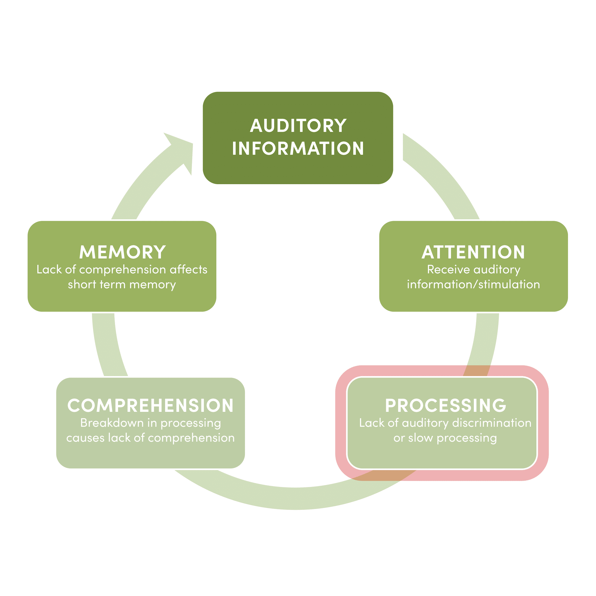 Central Auditory Processing Evaluations | Speech & Hearing Associates